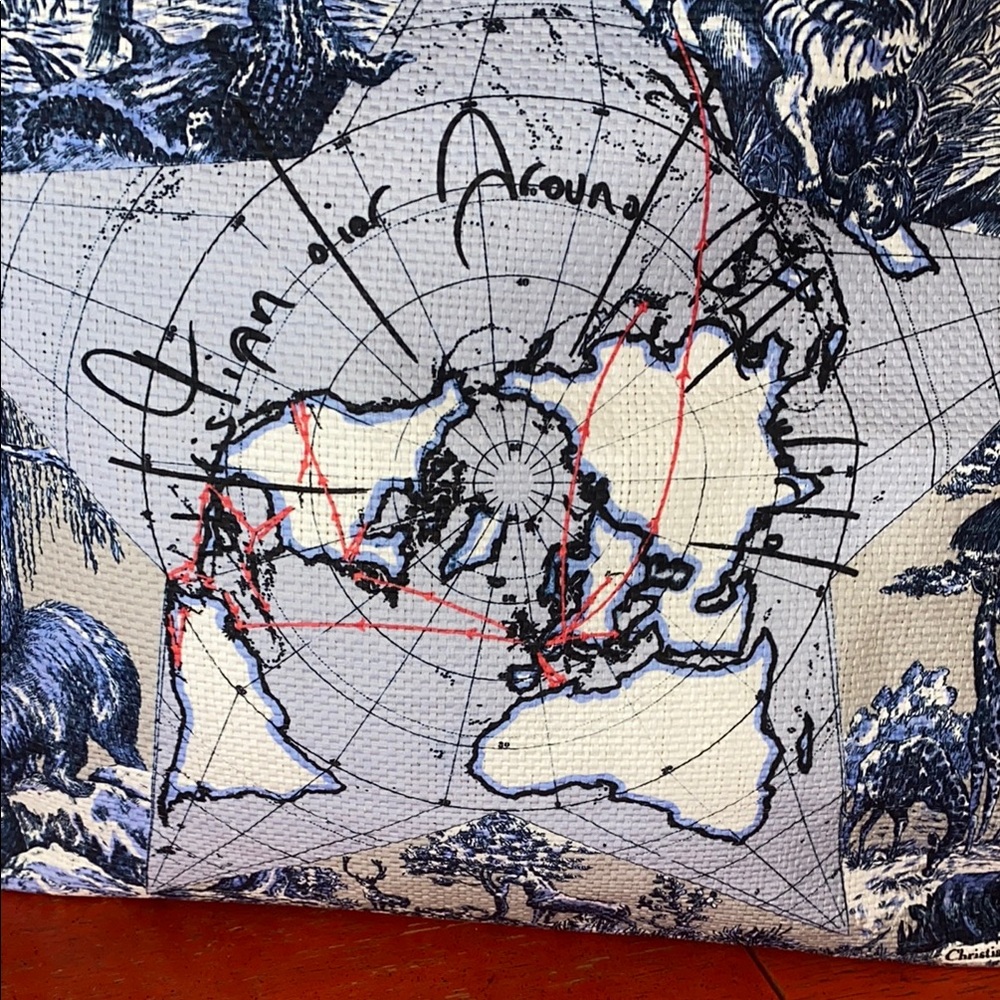 Dior Blue and Tan Tote Bag around the world - Picture 7 of 13
